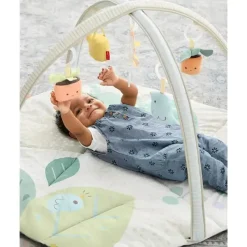 Skip Hop - Ginásio de Atividades Garden Oasis Best