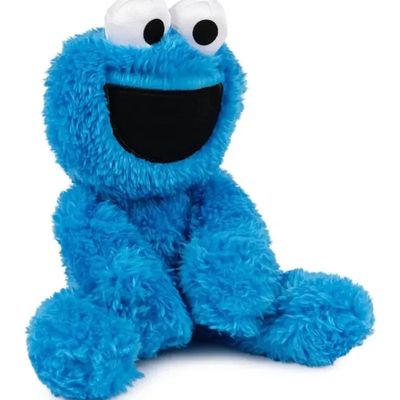 spin_master__cookie_monst_SKUE28MIDUy_1.webp Spin Master - Cookie Monster Leve Junto Amigo 13 Clearance