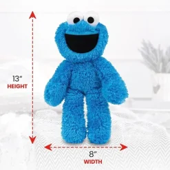 Spin Master - Cookie Monster Leve Junto Amigo 13 Clearance