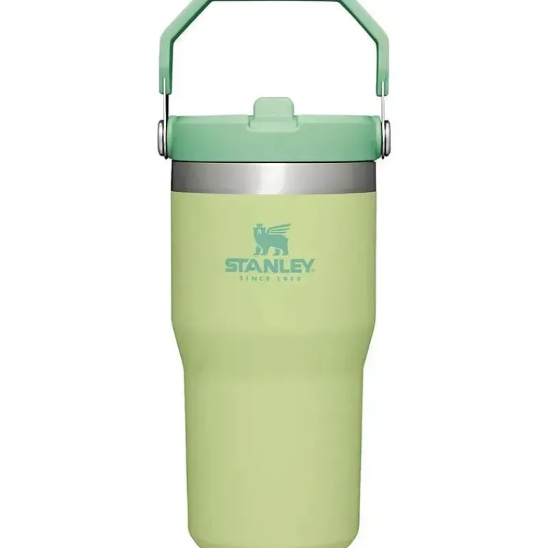 stanley__copo_de_ao_inoxi_SKUFJup0eSw_0.webp Stanley - copo de aço inoxidável IceFlow de 20 onças com palha, limão Outlet