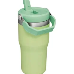 Stanley - copo de aço inoxidável IceFlow de 20 onças com palha, limão Outlet