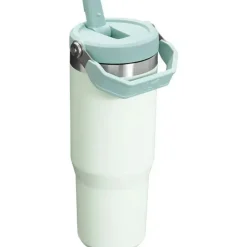 Stanley - copo de aço inoxidável IceFlow de 30 onças com palha e névoa Online
