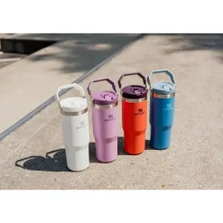 Stanley - copo de aço inoxidável IceFlow de 30 onças com palha e névoa Online
