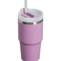Stanley - Copo isolado a vácuo de aço inoxidável Quencher H2.0 FlowState de 20 onças, lilás Sale