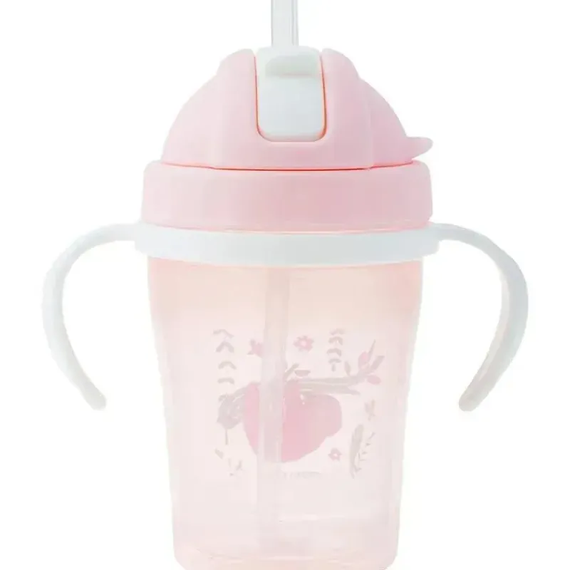 stephen_joseph_sippy_cups_SKUHRGQLfiv_1.webp Stephen Joseph Sippy Cups para crianças com palha, preguiça Online