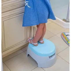 Summer Infant - Cadeira 3 em 1 Potty Sit &amp; Play, Azul/Cinza Online