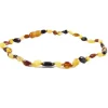 The Amber Monkey - Colar de âmbar báltico polido de 12 a 13 polegadas, Multi Bean POP Discount