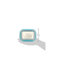 ThinkBaby - Blue Bpa Free Bento Box, Blue Outlet