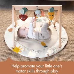 Tiny Love - Gymini W/Book, Garden of Adventure Collection Discount