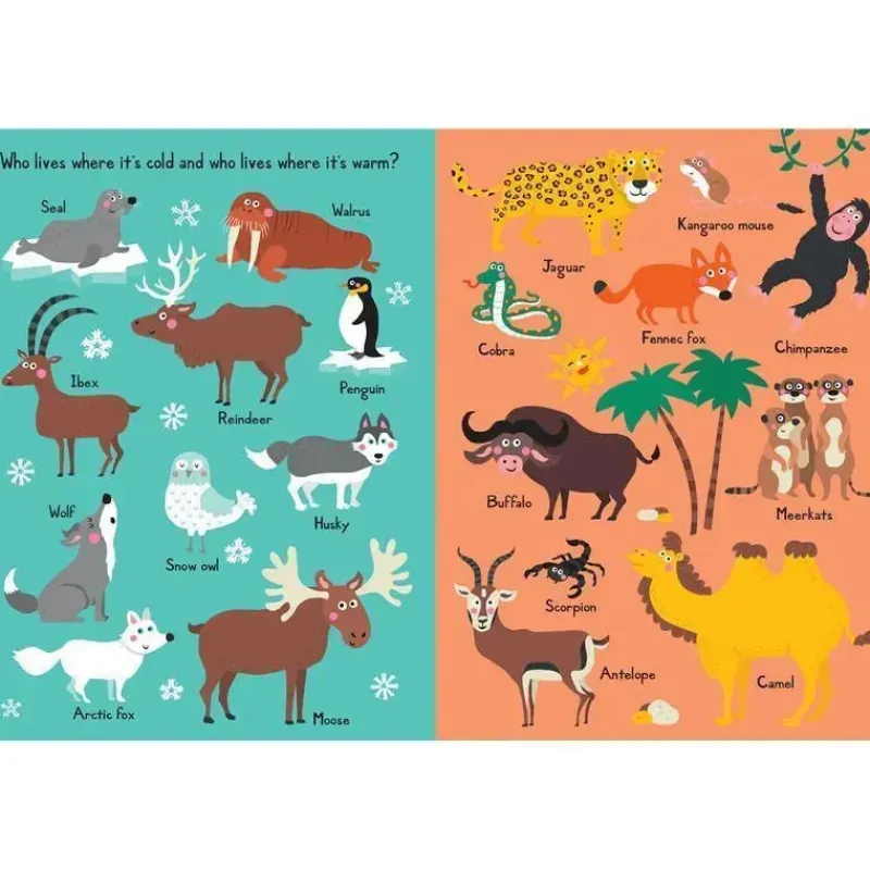 workman_publicando_meu_li_SKUkszh8t3j_4.webp Workman Publishing Workman publicando meu livro de animais opostos New